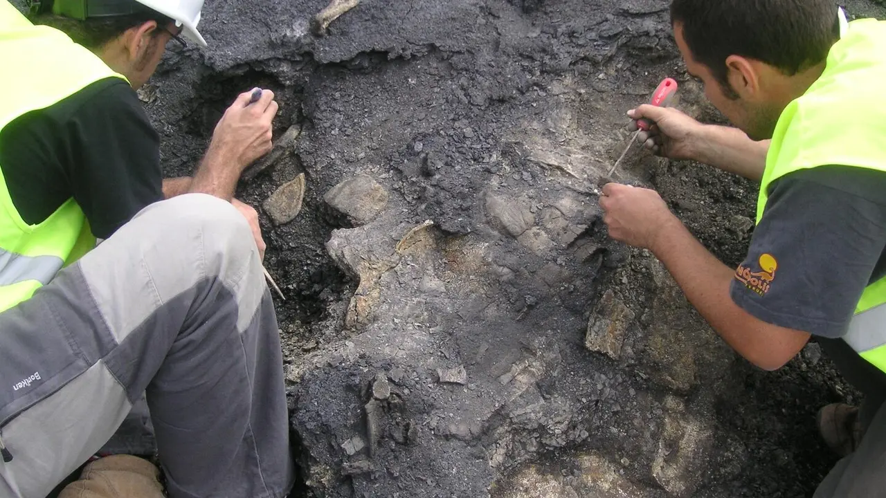 Los restos de la tortuga fueron hallados y excavados en la Mina Santa Mar&iacute;a de Ari&ntilde;o, en el municipio turolense de Ari&ntilde;o (Espa&ntilde;a). /Gobierno de Arag&oacute;n