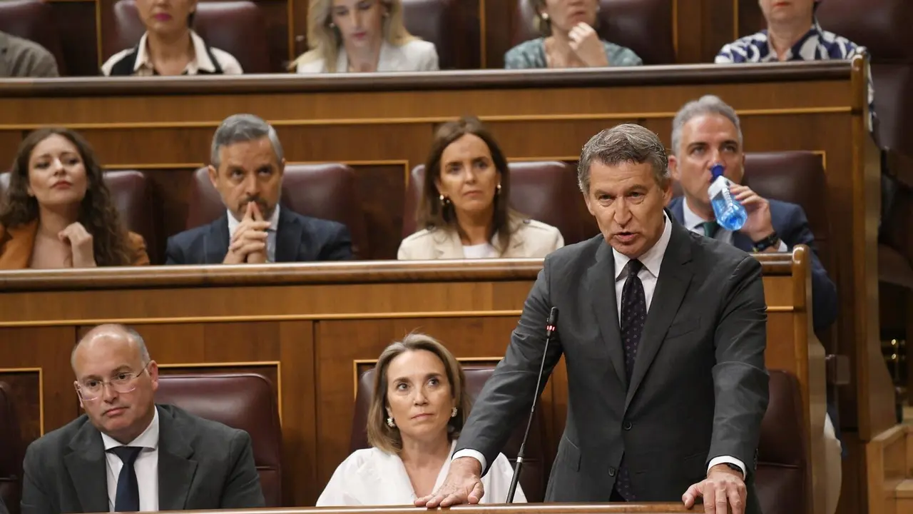 El presidente del Partido Popular, Alberto N&uacute;&ntilde;ez Feij&oacute;o. / EP