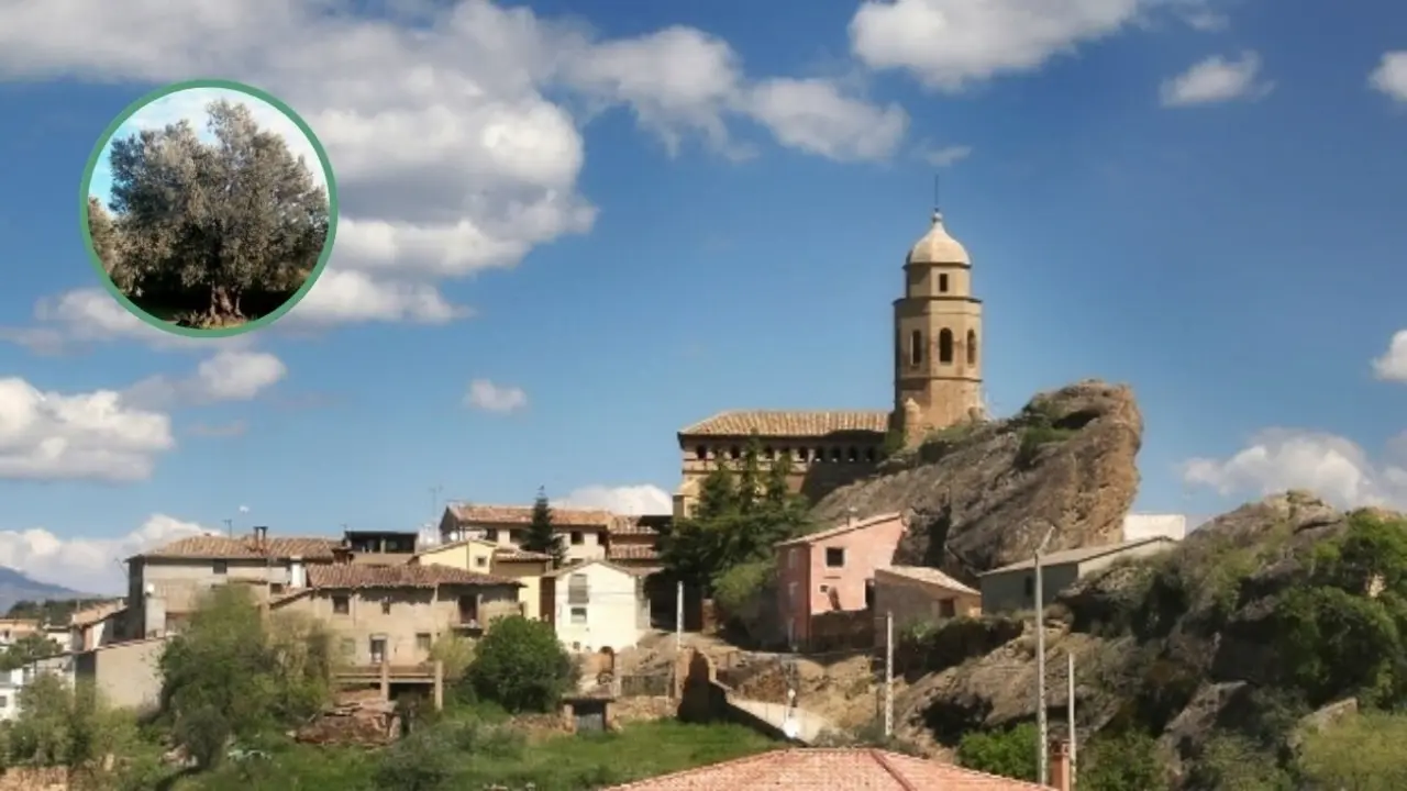 El diminuto pueblo de Huesca entre rocas, con pantano y un olivo de m&aacute;s de mil a&ntilde;os  Turismo Somontano