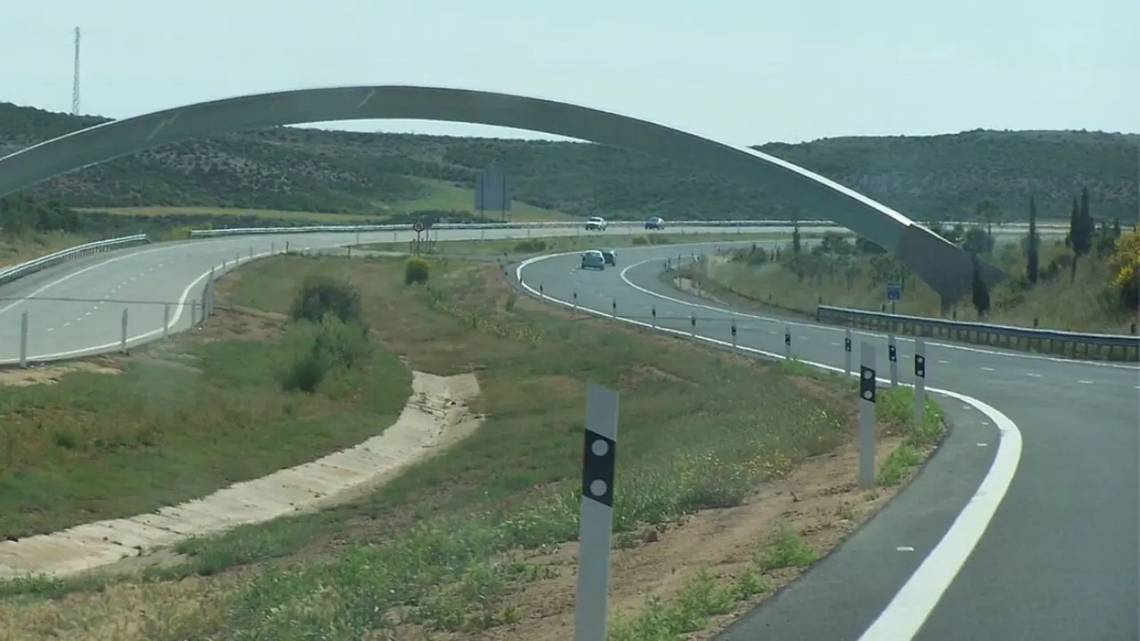 El nuevo 'hobbie' de Zaragoza que ha pillado la Guardia Civil