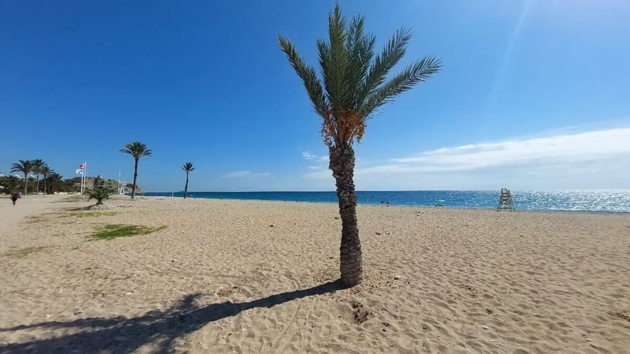 Playa El Para&iacute;so ./ Tripadvisor