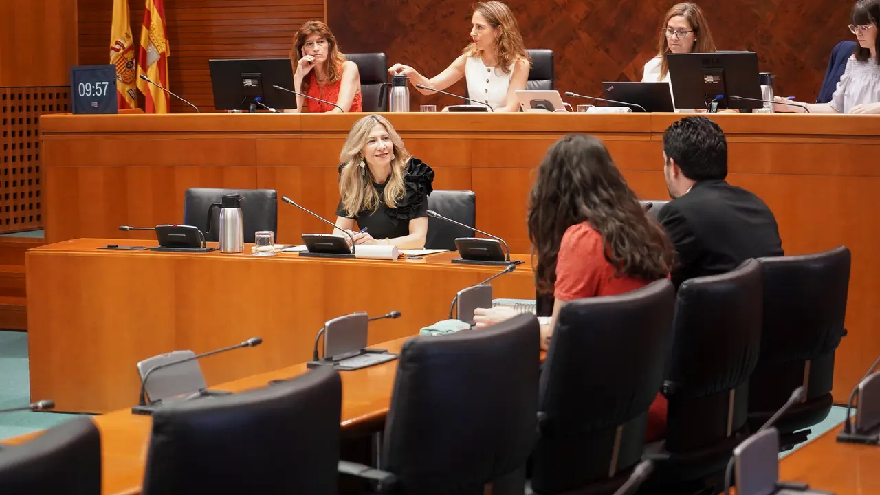 La vicepresidenta del Gobierno de Arag&oacute;n, Mar Vaquero, en las Cortes