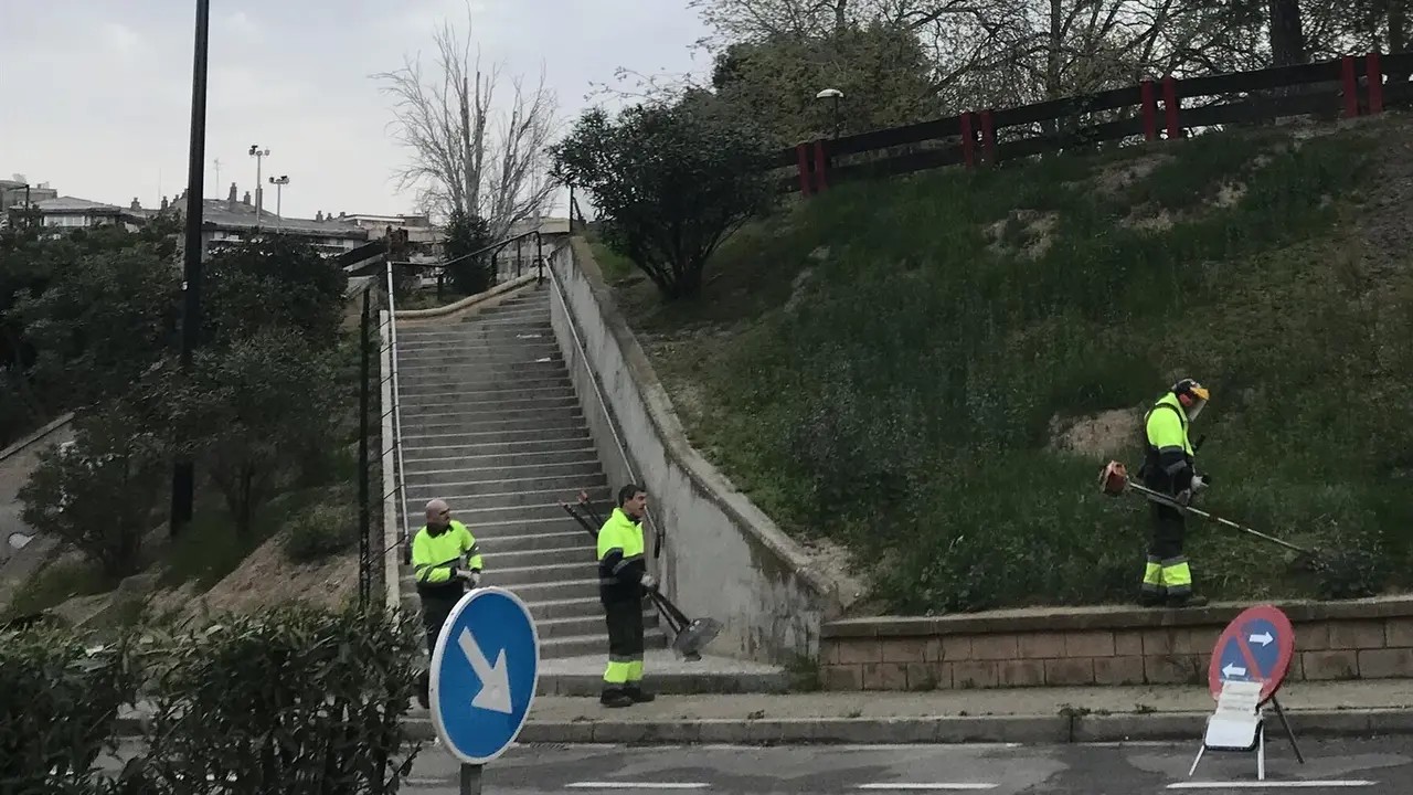 Jardineros podan un zona verde con unas escaleras centrales / EP