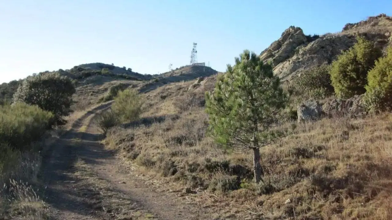 Camino rural en provincia de Zaragoza