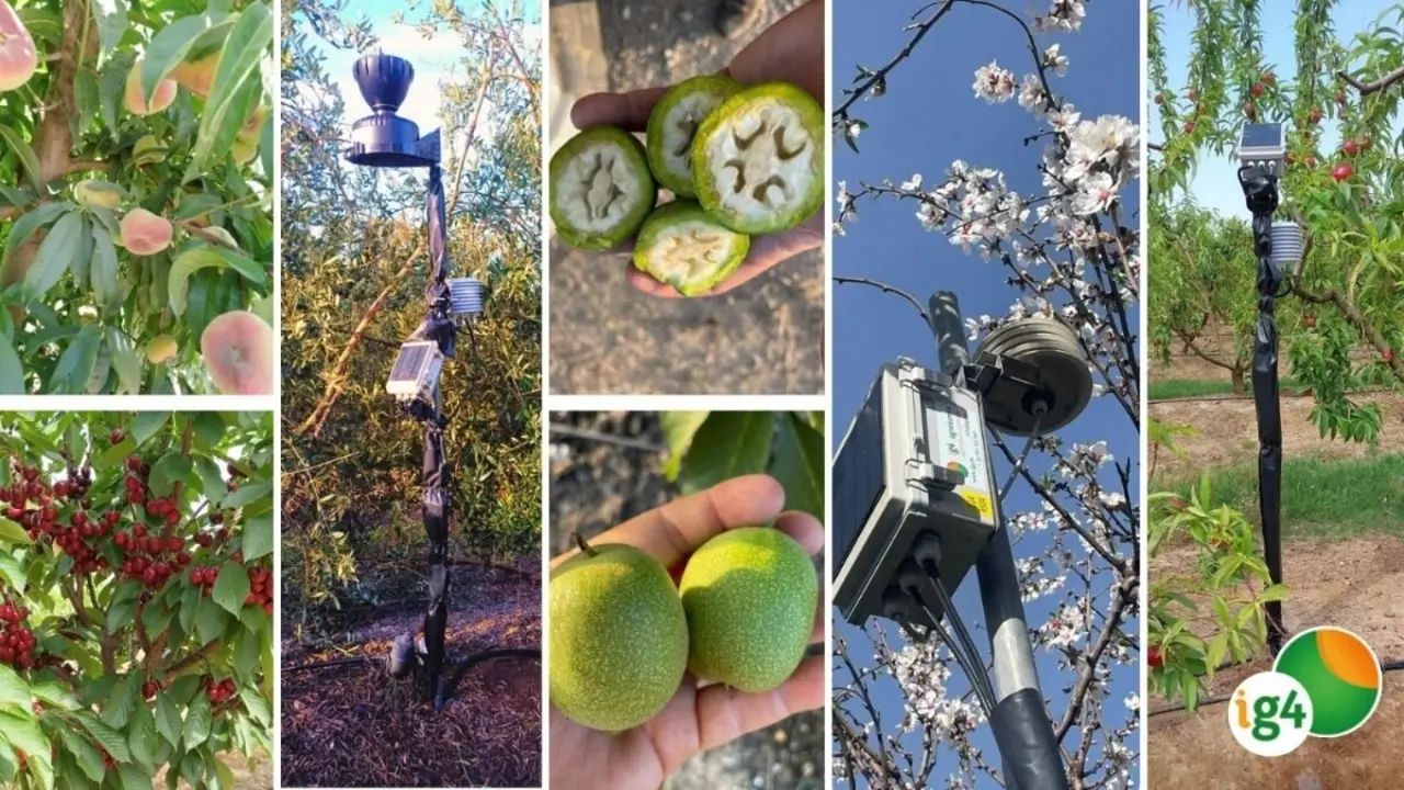 Ig4 Agronom&iacute;a.