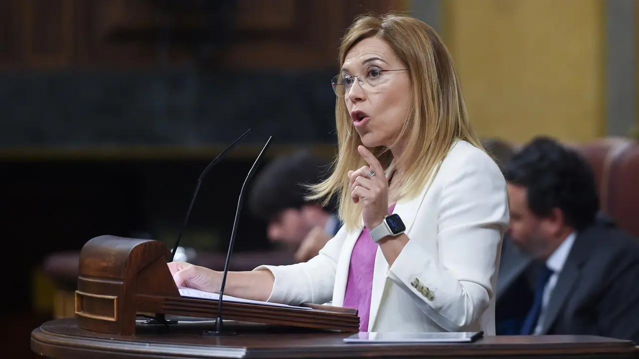 La diputada del PP en el Congreso Ana Al&oacute;s. / EP