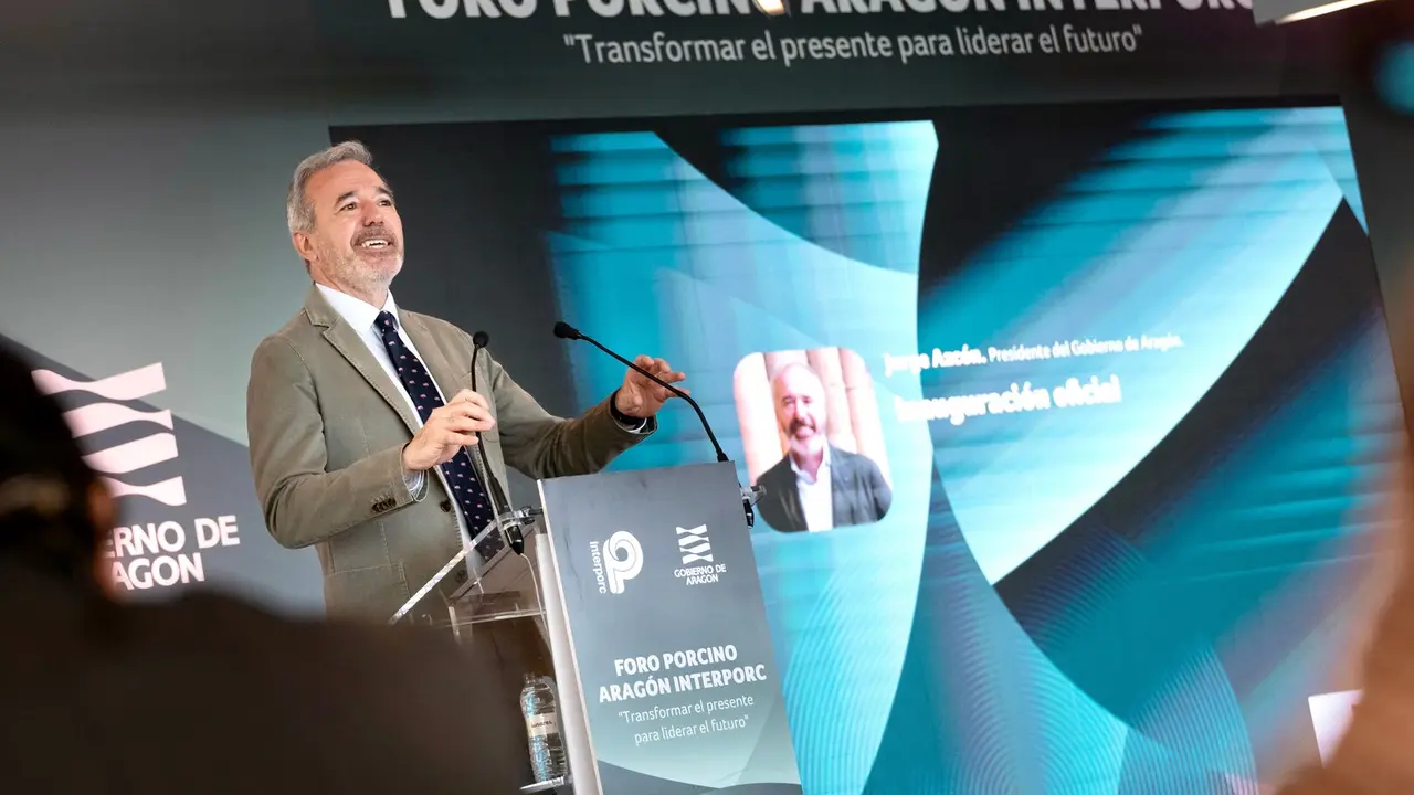 El presidente del Gobierno aragon&eacute;s, Fernando Garea./EP