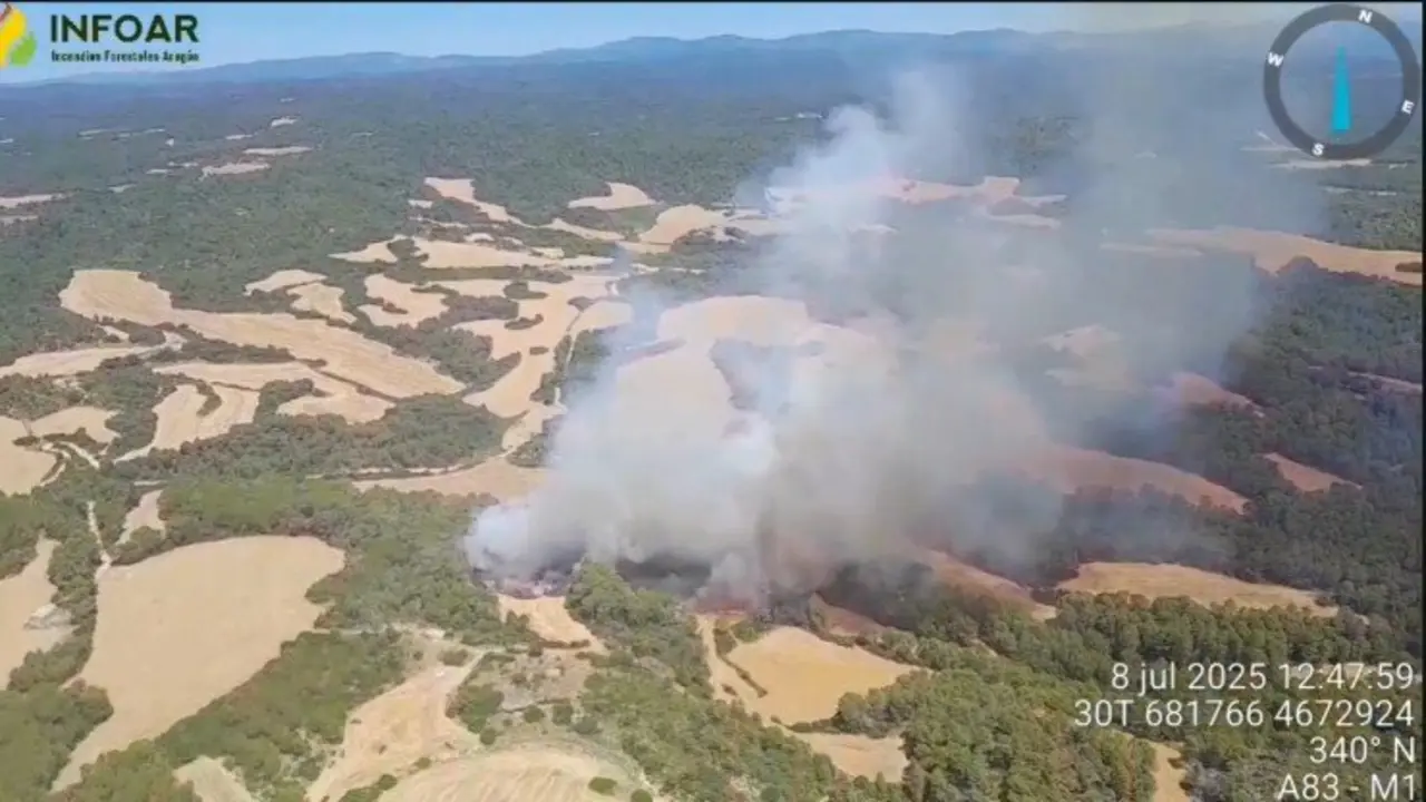 Incendio en Murillo de G&aacute;llego. /Infoar