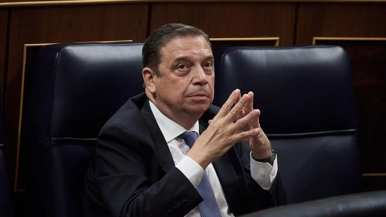 El ministro de Agricultura, Pesca y Alimentaci&oacute;n, Luis Planas. / EP