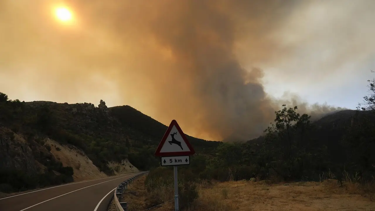 Vista general del incendio en el t&eacute;rmino abulense de Navalacruz, a 16 de agosto de 2021, en &Aacute;vila, Castilla y Le&oacute;n (Espa&ntilde;a). / EP