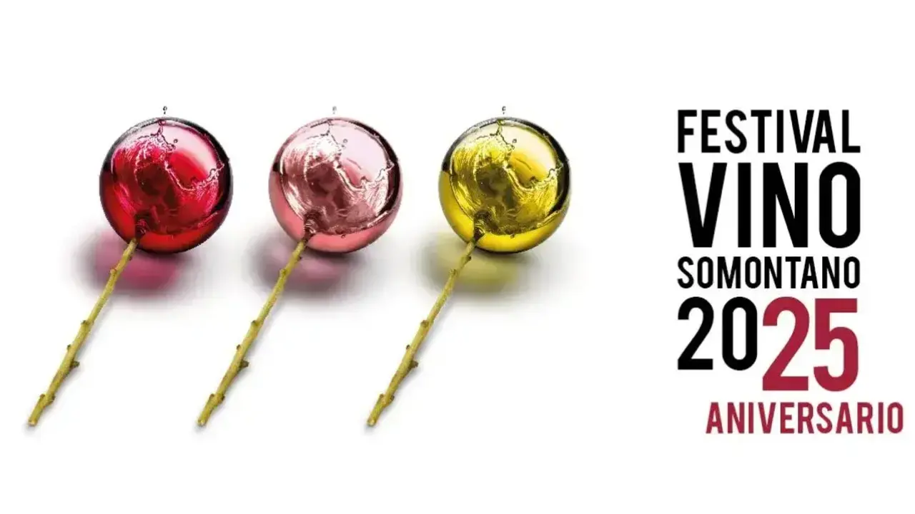 Festival vino Somontano 25 aniversario