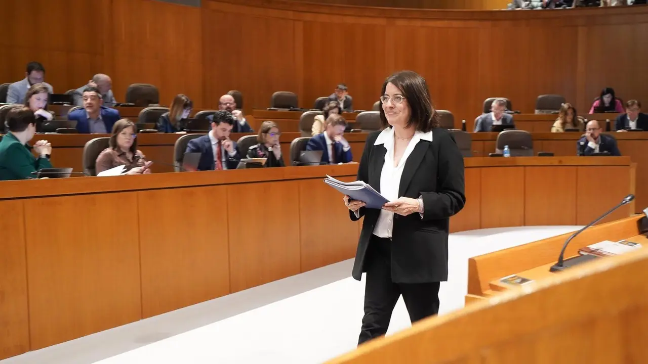 La Justicia de Arag&oacute;n, Concepci&oacute;n Gimeno, en la sesi&oacute;n plenaria de las Cortes auton&oacute;micas. - CORTES DE ARAG&Oacute;N.
