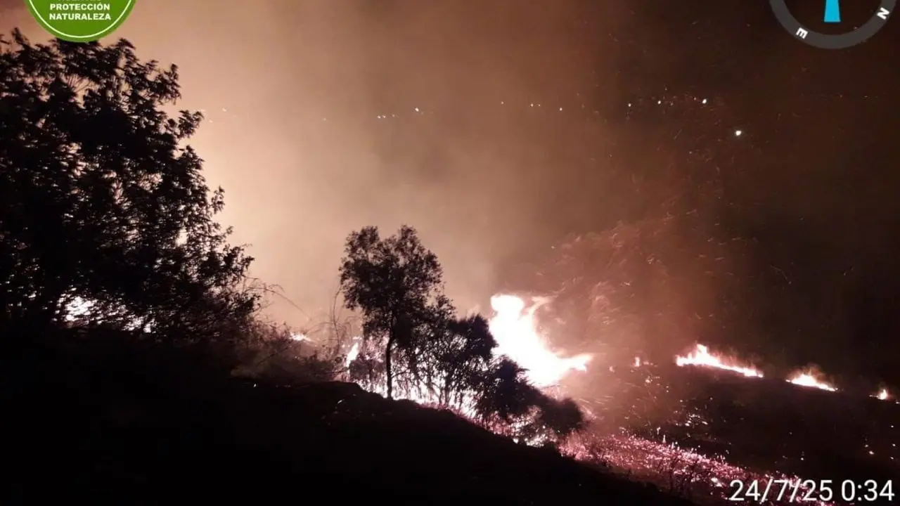 Incendio forestal en Monz&oacute;n. / GOBIERNO DE ARAG&Oacute;N