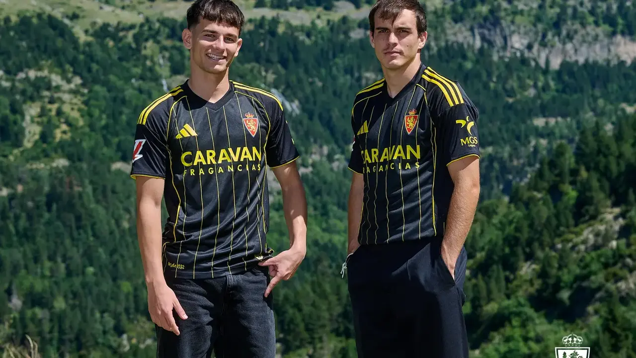 Camiseta avispa / REAL ZARAGOZA
