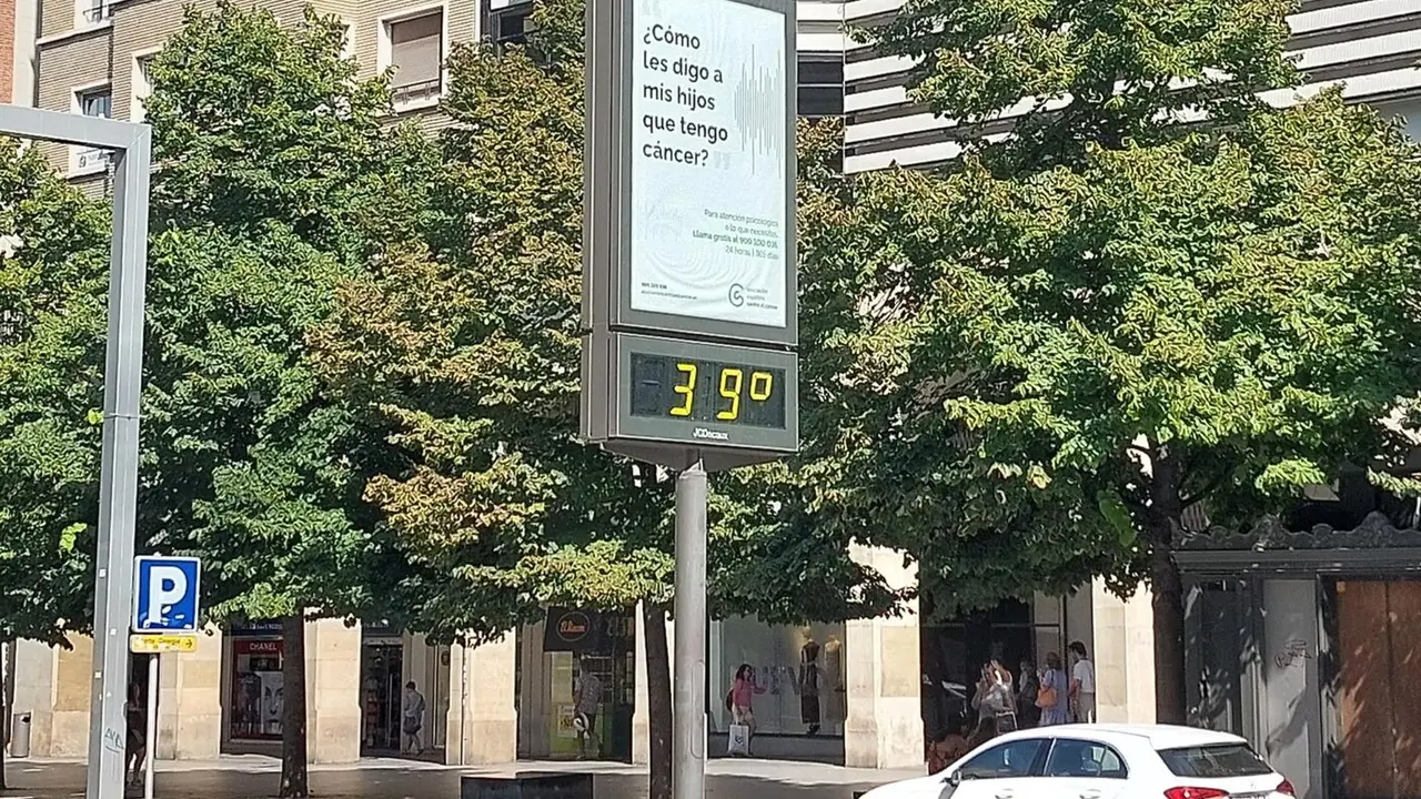 Term&oacute;metro calor. / EP