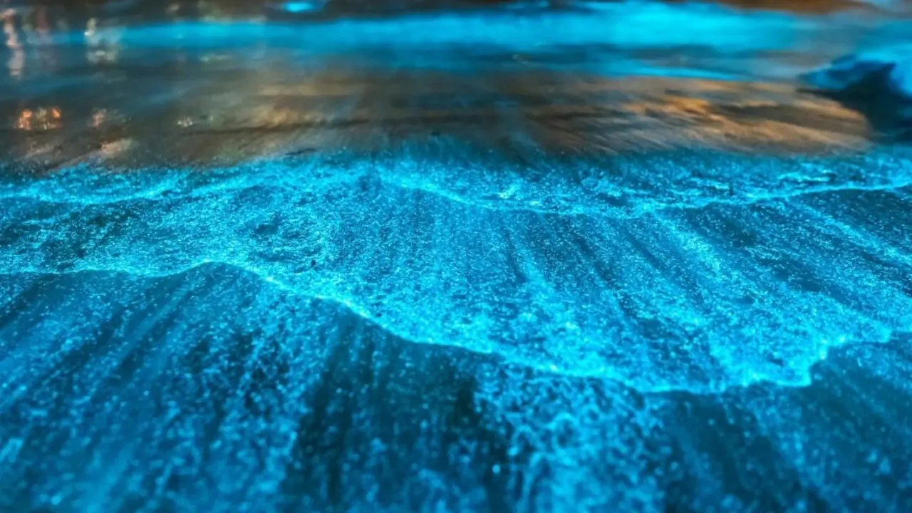 playas-bioluminiscencia-espa&ntilde;a