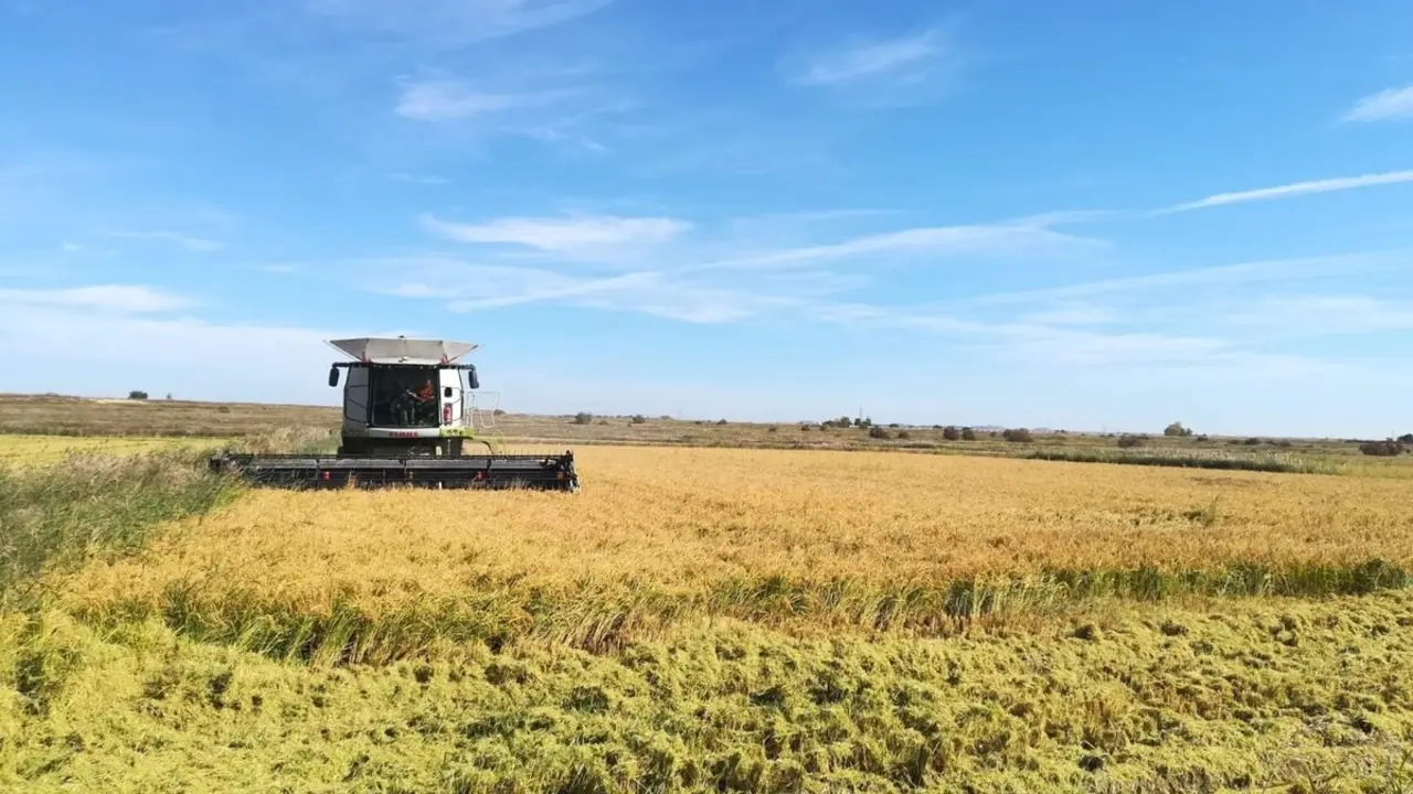 Arag&oacute;n cubrir&aacute; hasta el 70% del coste de los seguros agrarios para agricultores y ganaderos