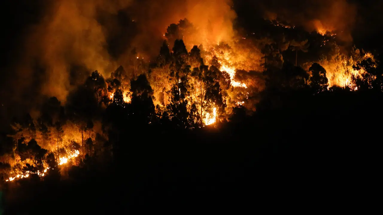 Un gran incendio en Quiroga, Lugo / EP