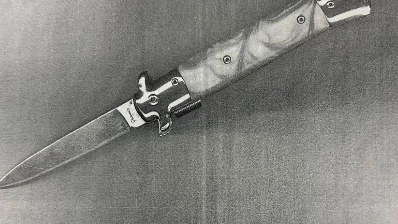 El arma blanca que utilizaron presuntamente en el asalto/Cedida a H.A.