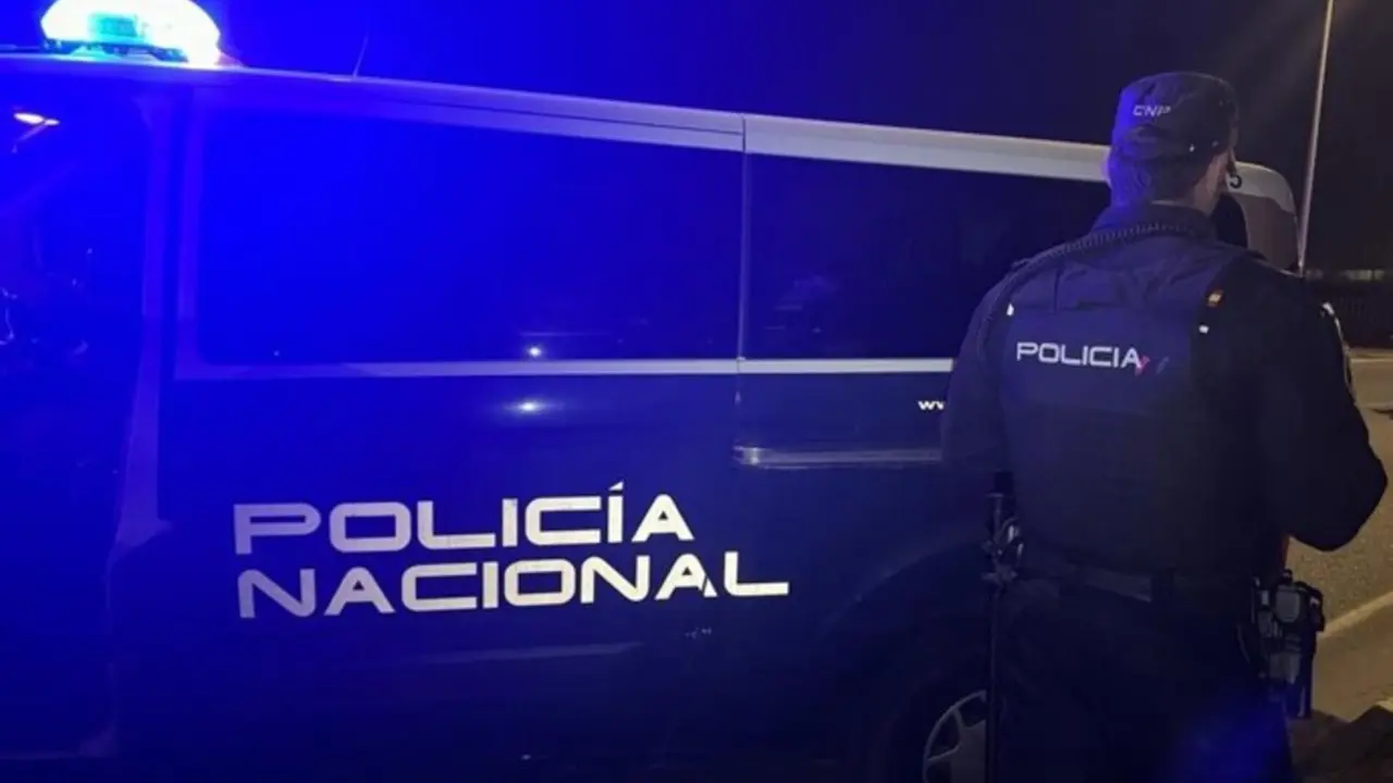 La Polic&iacute;a Nacional detiene a dos personas tras varios robos en Las Delicias
