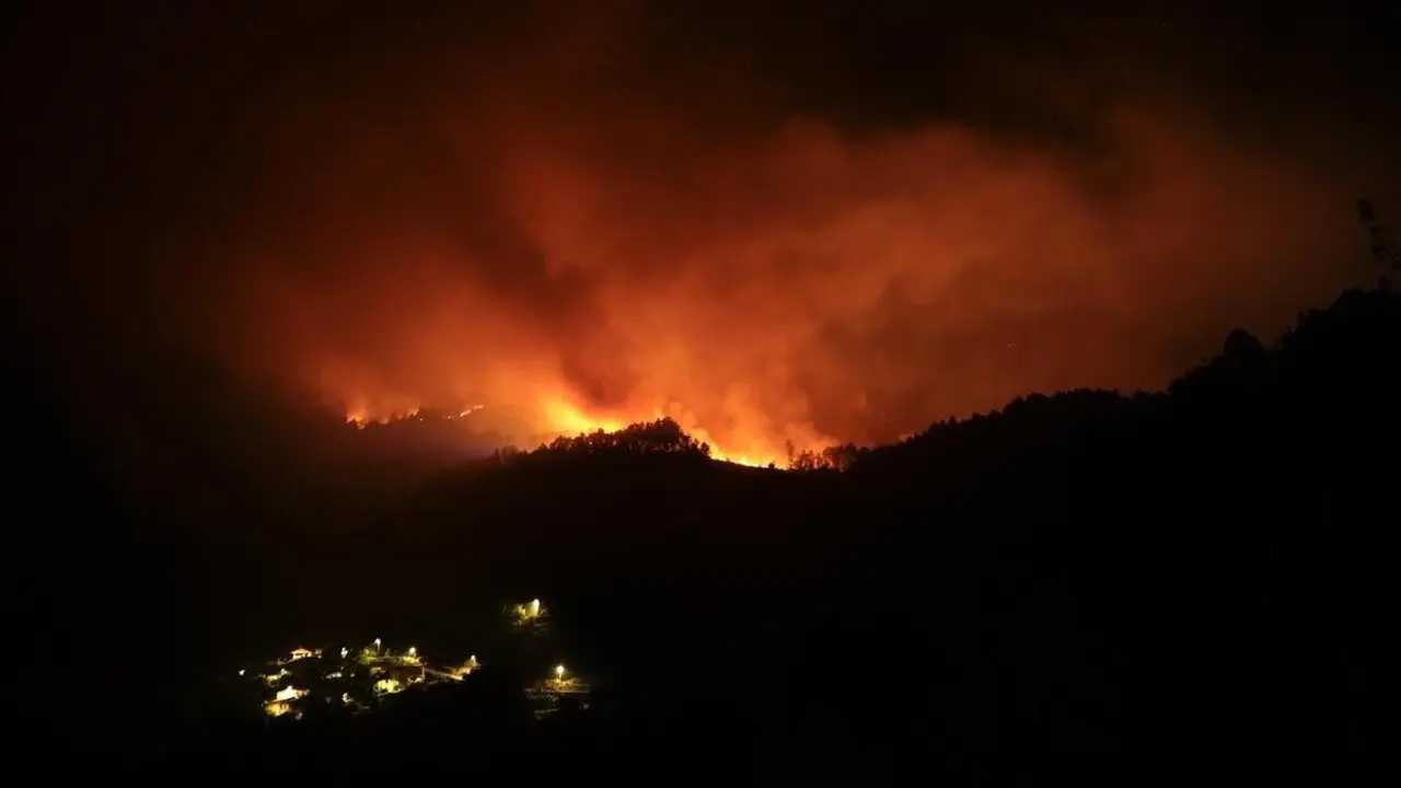 Vista del fuego