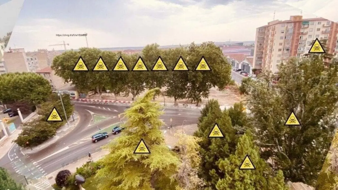 Tensi&oacute;n en Huesca durante la tala de &aacute;rboles, una detenida y m&aacute;s de 300 manifestantes. Fuente, HespeTacular