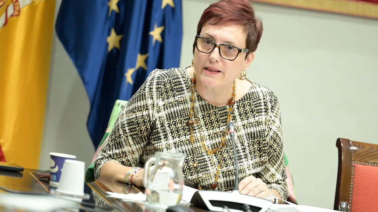 La consejera de Bienestar Social del Gobierno de Canarias, Candelaria Delgado. / GOBIERNO DE CANARIAS