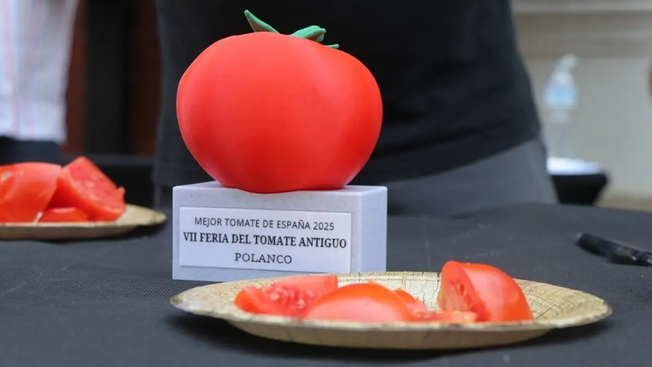 receta-mejor-tomate-espa&ntilde;a-sana