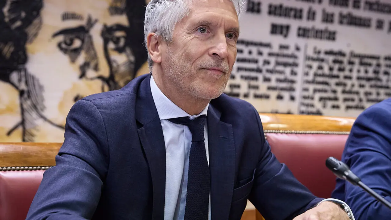 El ministro del Interio, Fernando Grande Marlaska, en el Senado./ EP
