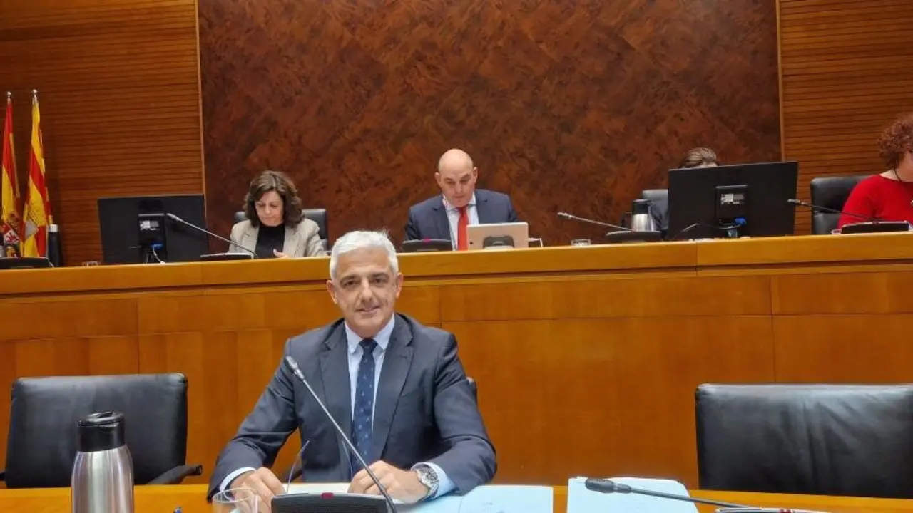 El director general de Salud Digital e Infraestructuras del Gobierno de Arag&oacute;n, Joaqu&iacute;n Velilla, comparece, en comisi&oacute;n, en las Cortes de Arag&oacute;n. ./ Gobierno de Arag&oacute;n