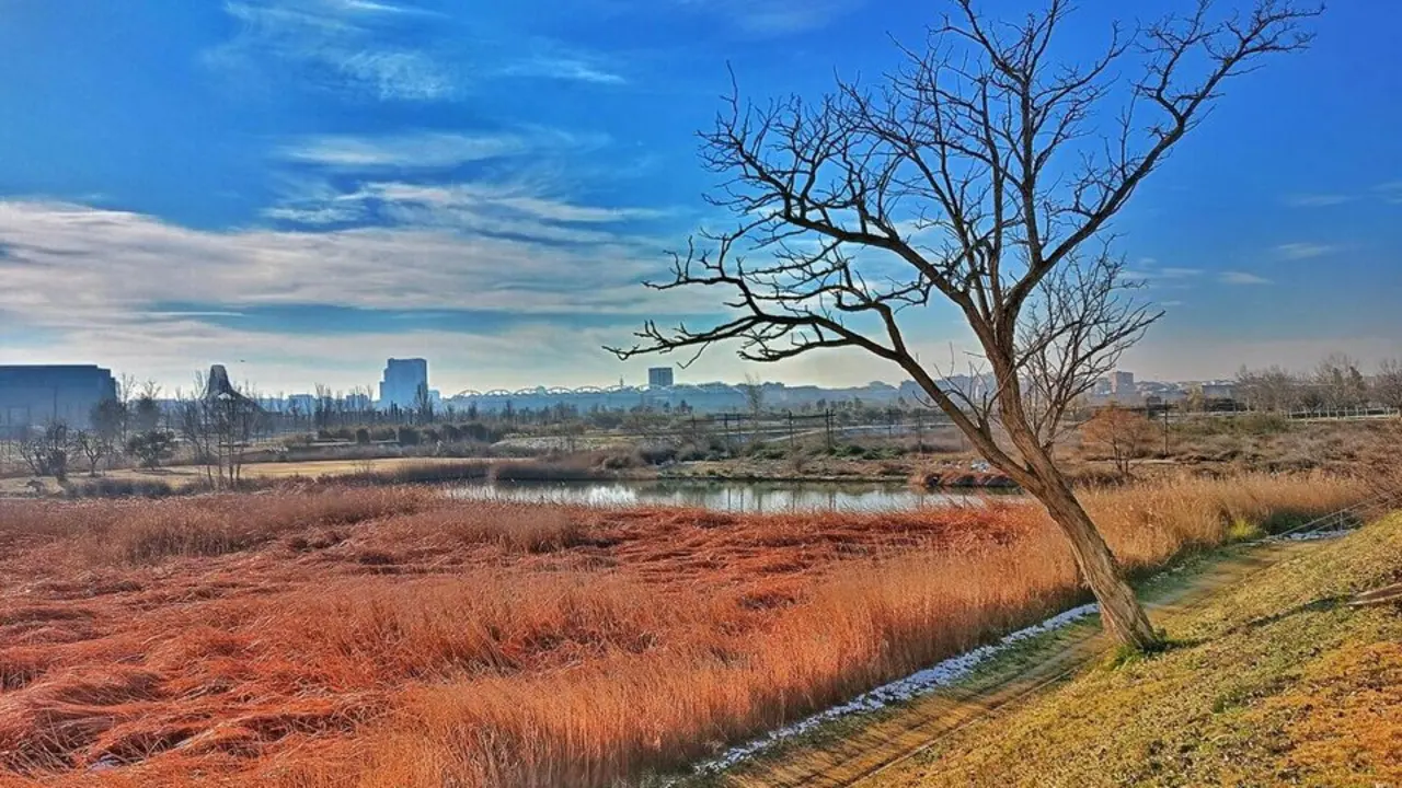 El Abrazo al Ebro: la ruta que une Zaragoza con la naturaleza sin salir de la ciudad