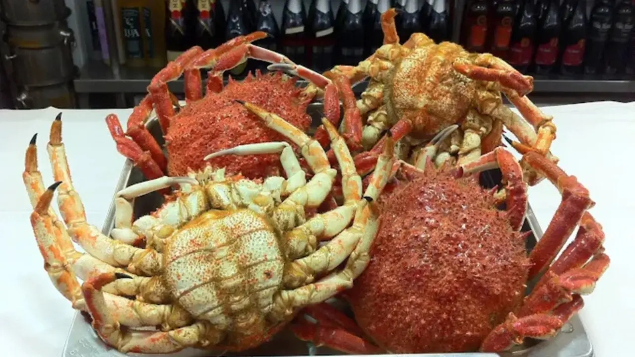 Marisquer&iacute;a El Cant&aacute;brico