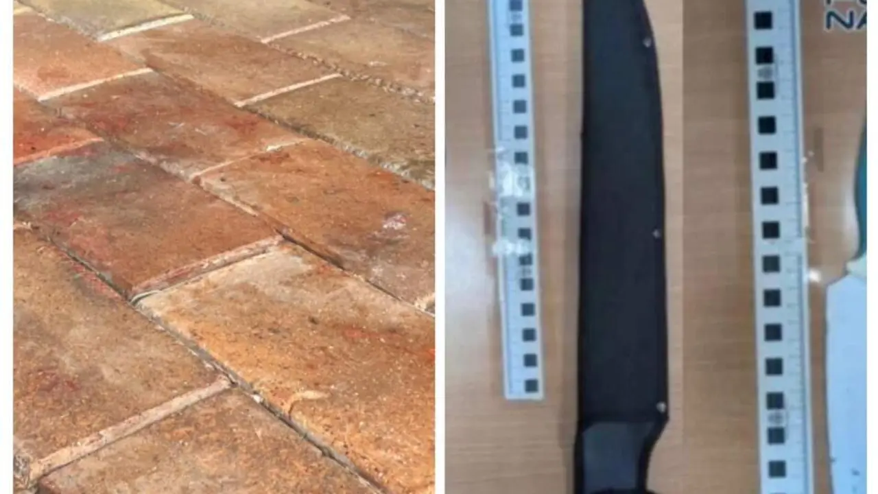 Imagen de la sangre tras las heridas en la Plaza de los Sitios y de unos machetes similares a los que utilizaron/ H.A.