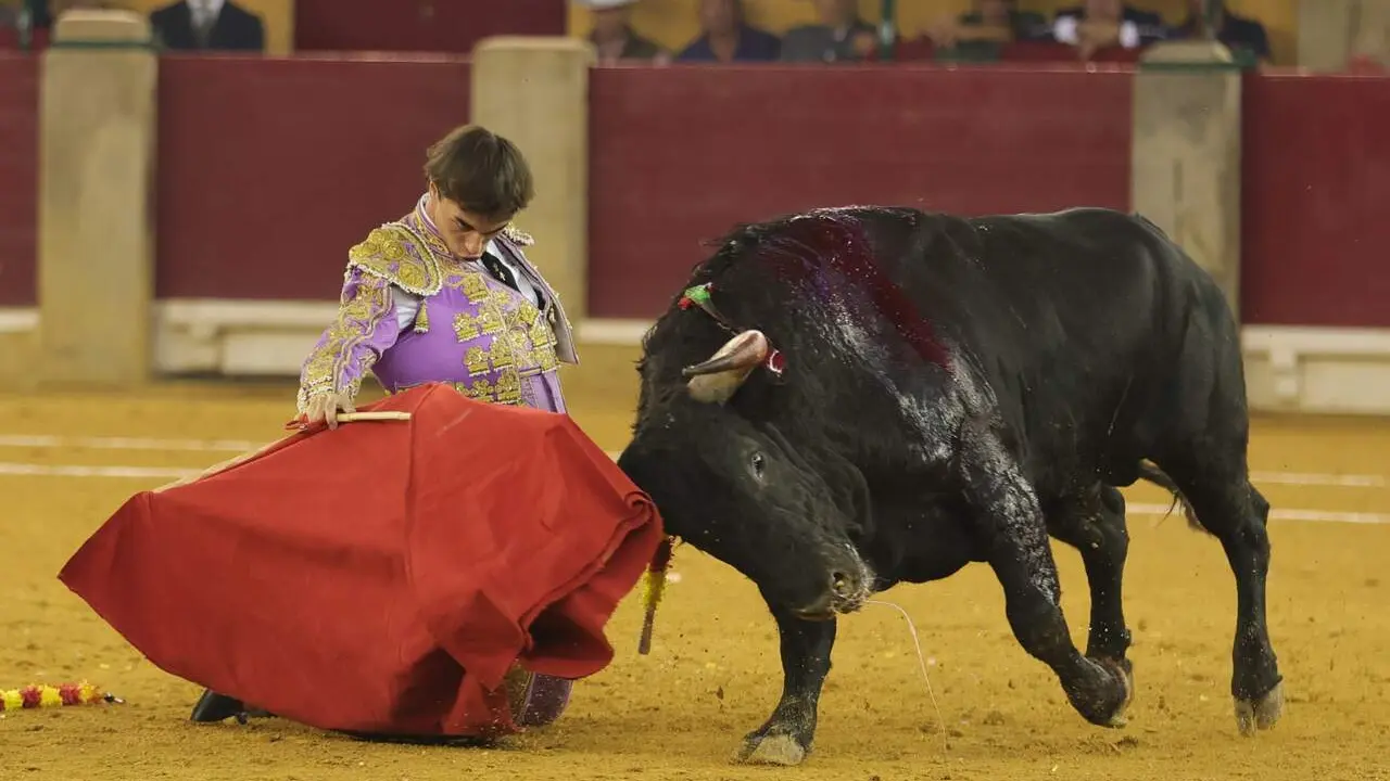 El novillero Tom&aacute;s Gonz&aacute;lez con su segundo animal en La Misericordia./ Plaza de Toros de Zaragoza