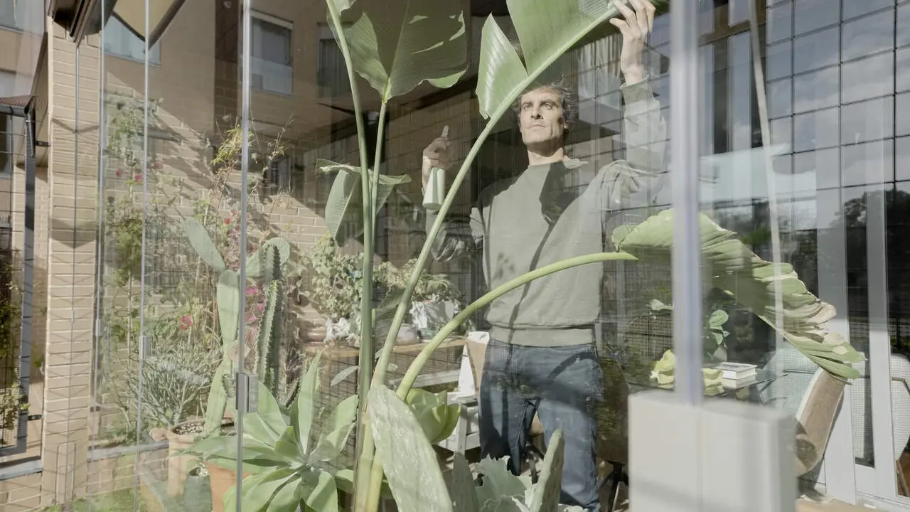 Consejos para decorar con plantas la terraza