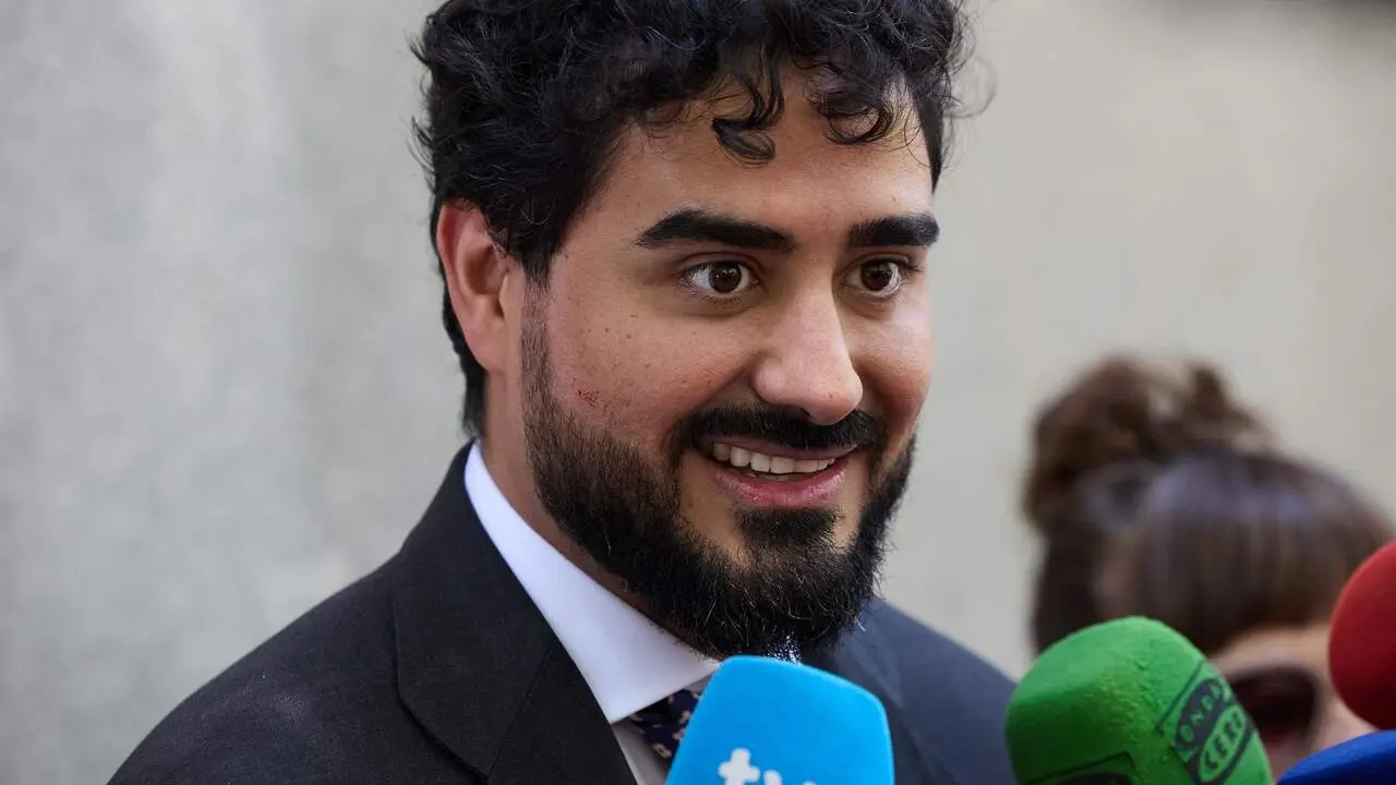 El l&iacute;der de Se Acab&oacute; La Fiesta (SALF) y eurodiputado, Luis 'Alvise' P&eacute;rez. / EP