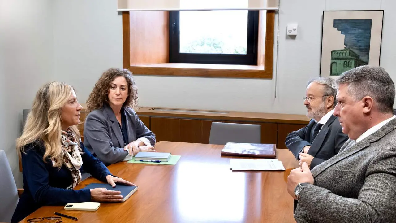 La vicepresdenta del Gobierno de Arag&oacute;n, Mar Vaquero, se re&uacute;ne con las principales asociaciones de aut&oacute;noms./ FS