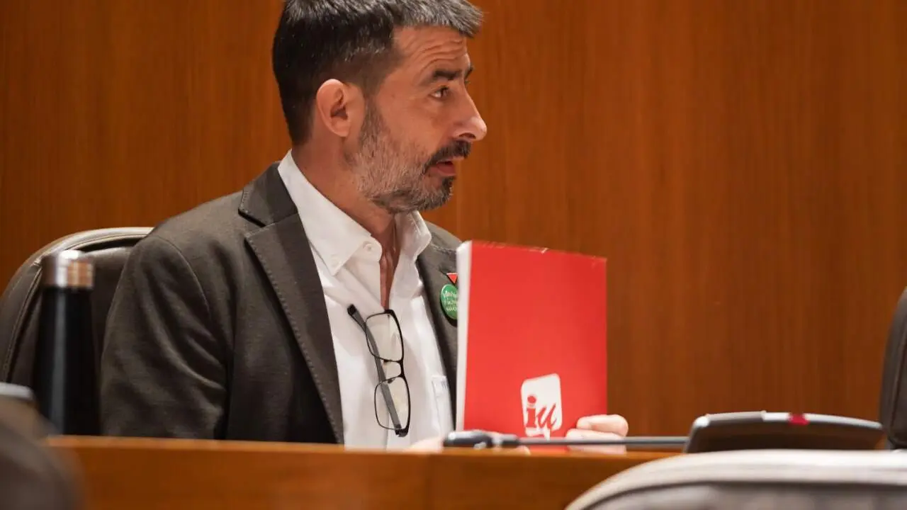 &Aacute;lvaro Sanz, Izquierda Unida de Arag&oacute;n