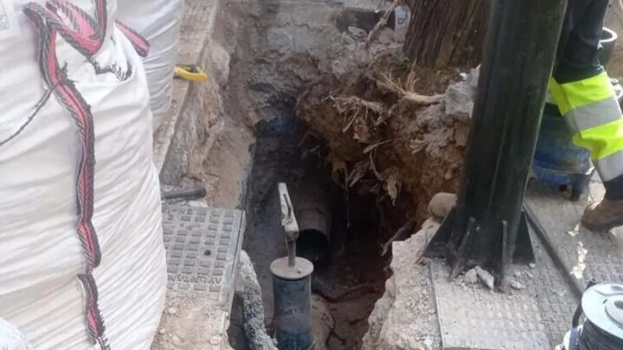 El &aacute;rbol estaba ubicado en la calle Pedro Mar&iacute;a Ric 25. /AZ