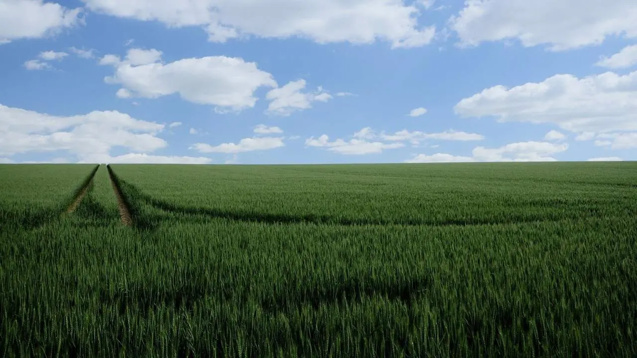 Agricultura abona el anticipo de la PAC m&aacute;s r&aacute;pido de la historia, con m&aacute;s de 217 millones de euros. / GOBIERNO DE ARAG&Oacute;N