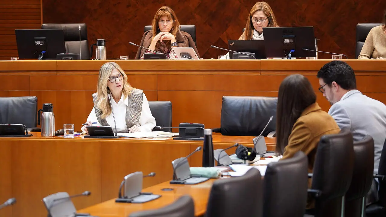 La vicepresidenta del Gobierno aragon&eacute;s, Mar Vaquero, en La Aljafer&iacute;a./ Cortes de Arag&oacute;n