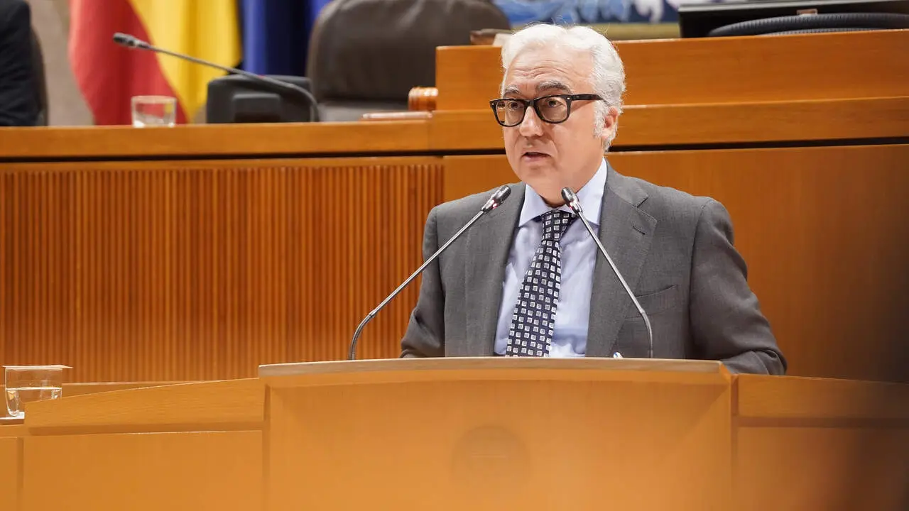 El consejero de Agricultura del Gobierno de Arag&oacute;n, Javier Rinc&oacute;n, en las Cortes de Arag&oacute;n./ Cortes de Arag&oacute;n