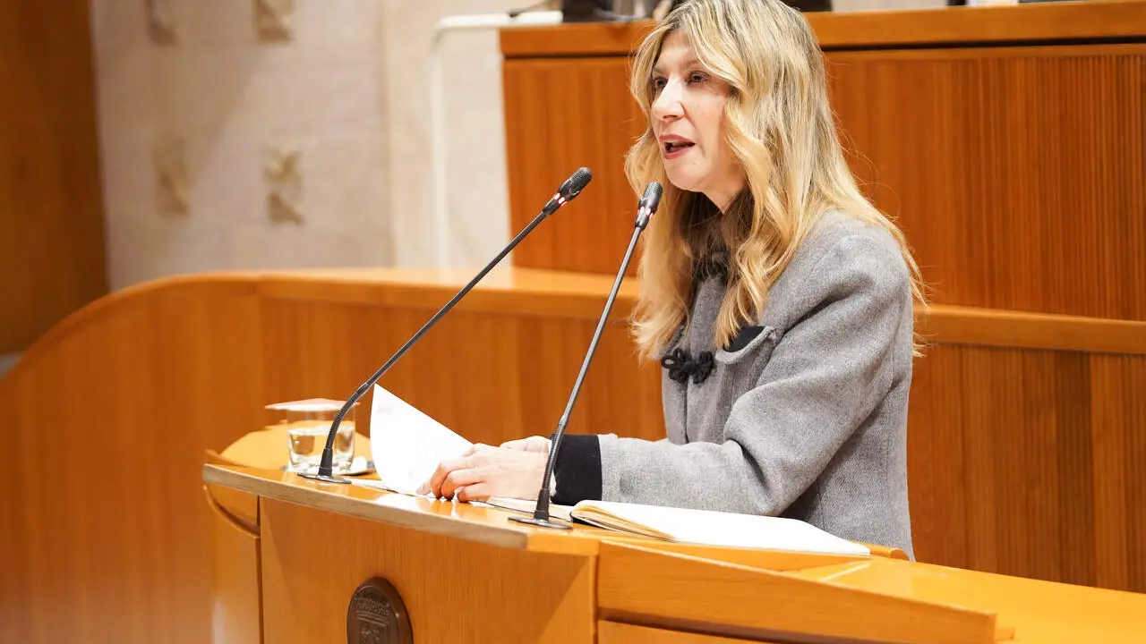 La vicepresidenta del Gobierno de Arag&oacute;n, Mar Vaquero, en las Cortes./ Cortes de Arag&oacute;n