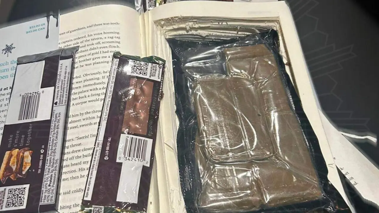 El libro y la droga que la Polic&iacute;a Local de Zaragoza encontr&oacute; en su interior/Polic&iacute;a Local Zaragoza