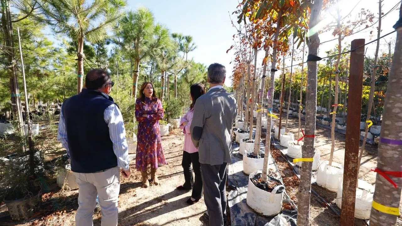 Presentaci&oacute;n nueva campa&ntilde;a 
de plantaci&oacute;n de arbolado urbano. /AZ