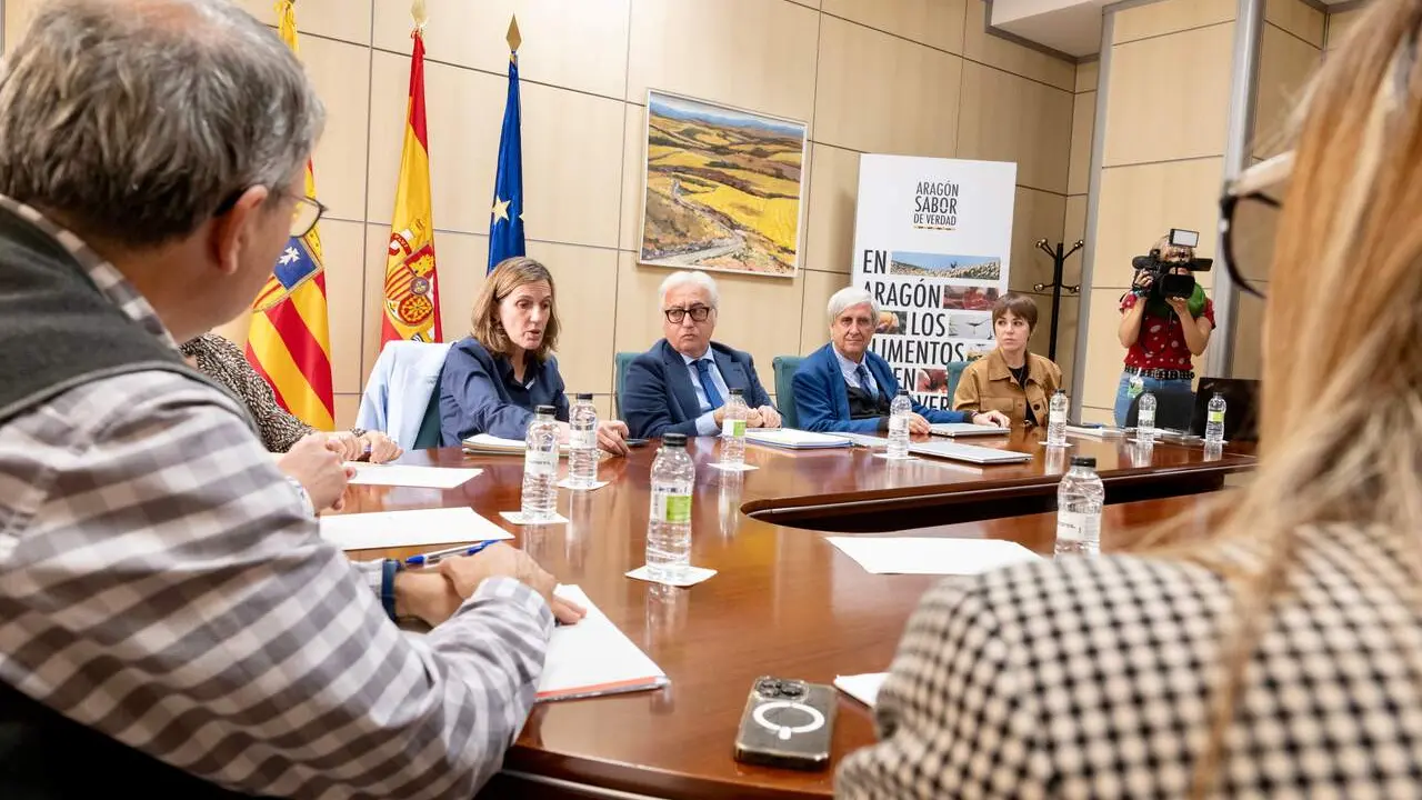 El consejero de Agricultura, Javier Rinc&oacute;n, en la reuni&oacute;n./ DGA