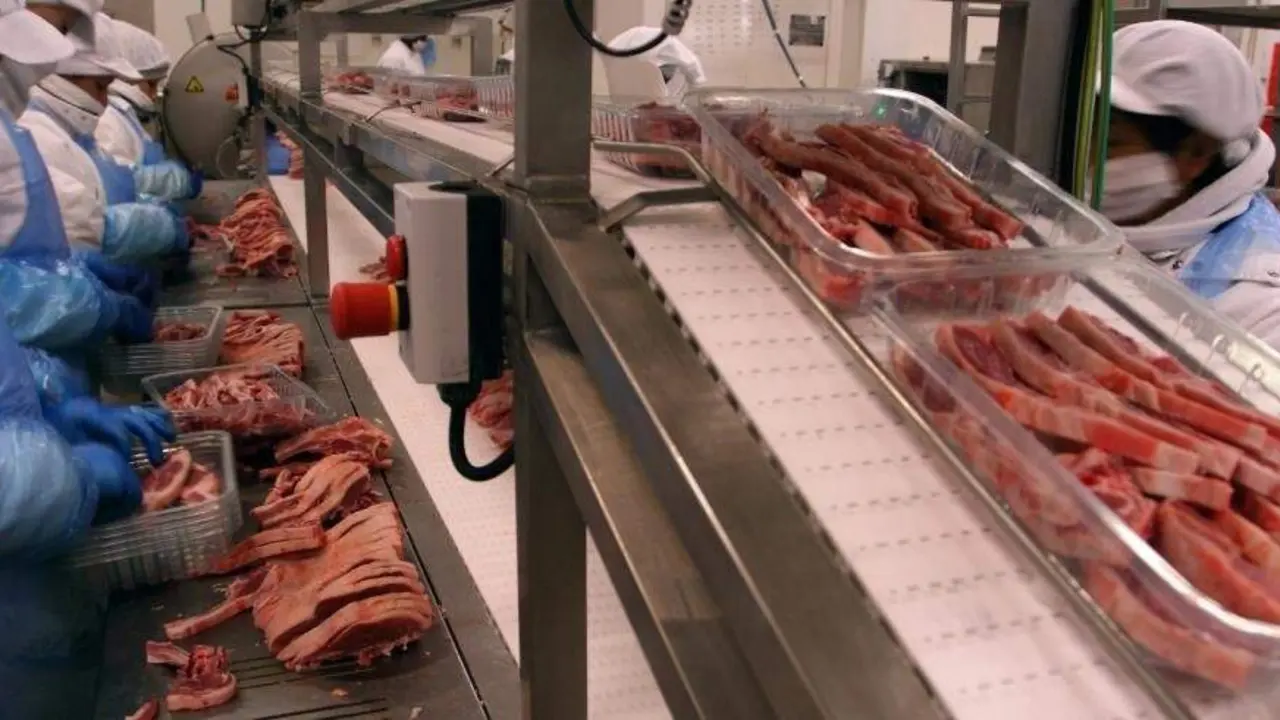 El Departamento de Agricultura, Ganader&iacute;a y Alimentaci&oacute;n sigue apostando de manera decidida en su apoyo a la industria agroalimentaria./ DGA