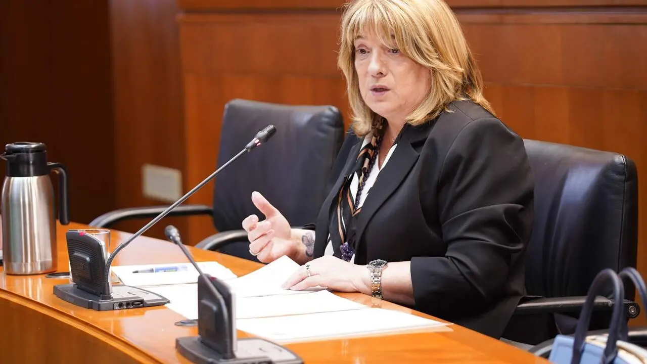 La consejera de Educaci&oacute;n del Gobierno de Arag&oacute;n, Tomasa Hern&aacute;ndez. /DGA