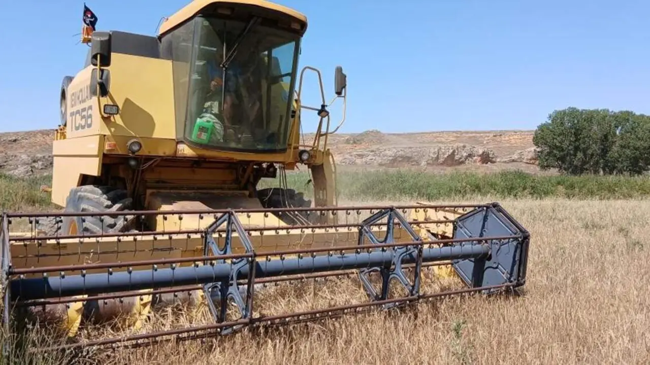 El departamento de Agricultura, Ganader&iacute;a y Alimentaci&oacute;n busca reforzar la liquidez del sector y garantizar un flujo estable de recursos. / EP
