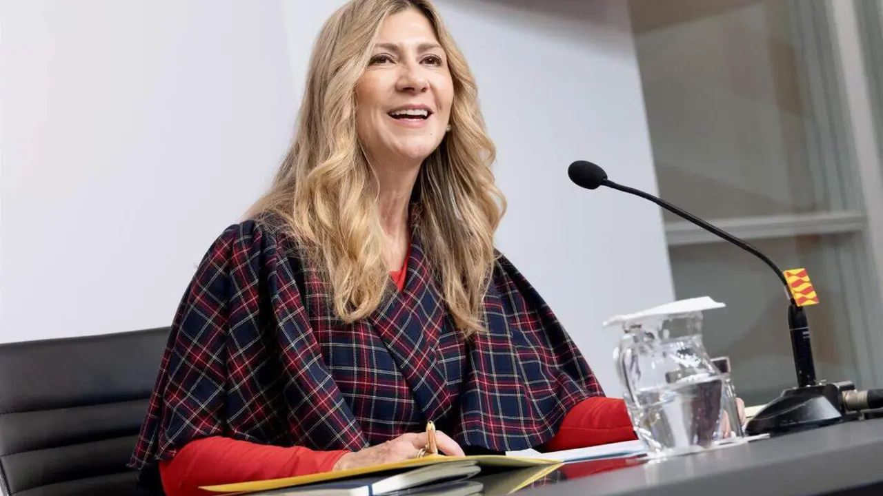 La vicepresidenta del Gobierno de Arag&oacute;n, Mar Vaquero, en rueda de prensa.
- FABIAN SIMON